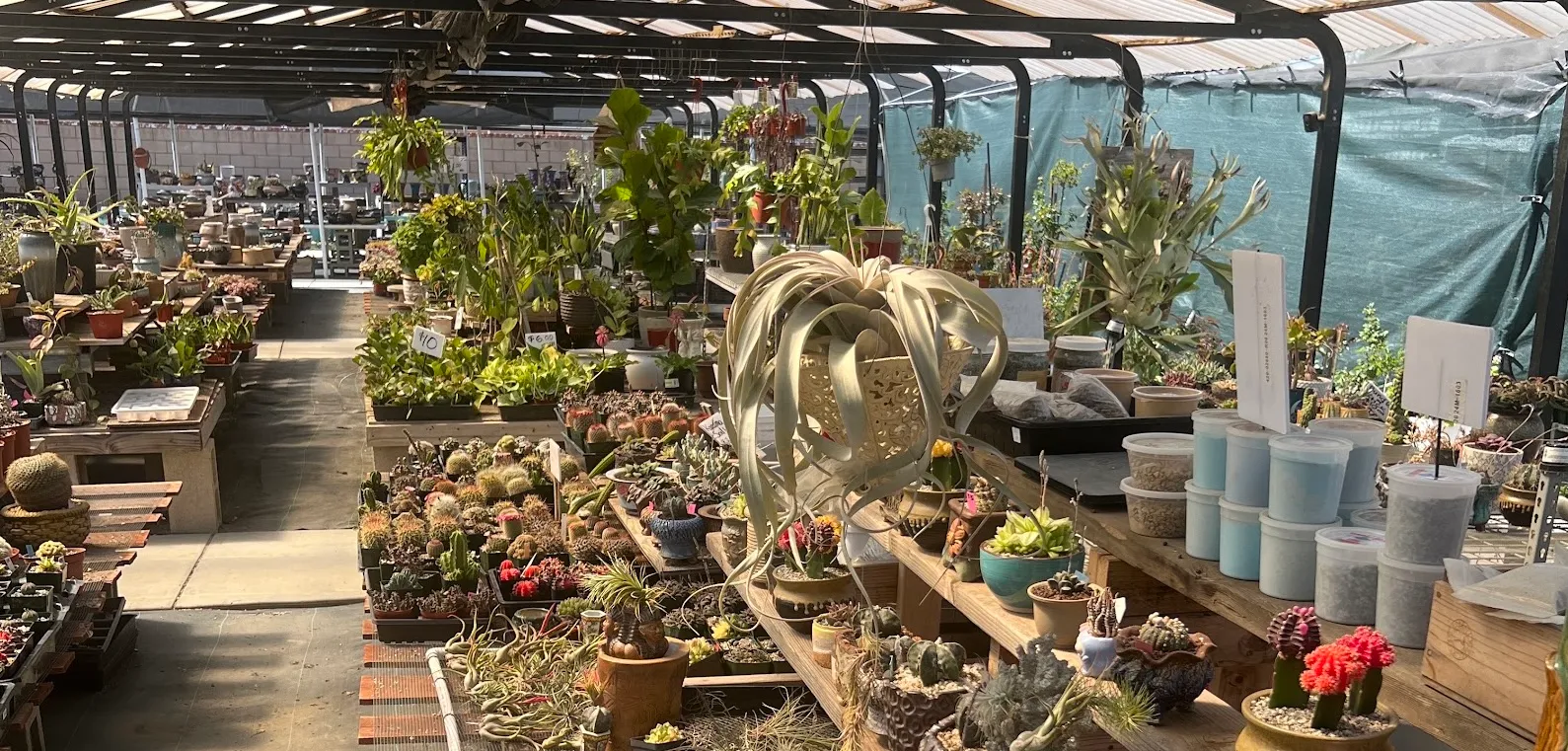 Greenhouse aisle with rows of cacti and succulents at Shuna Succulent House